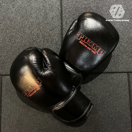 【THUMP Boxing 台灣獨家授權】 超纖拳套 -組合價