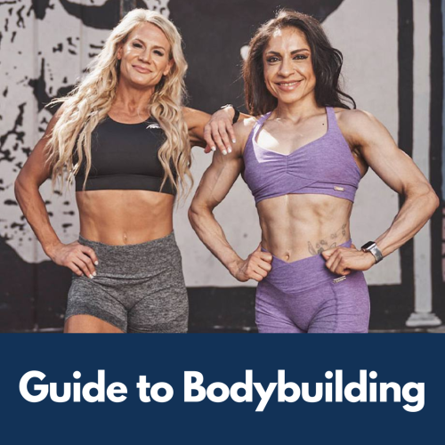 Guide to Bodybuilding 健美訓練指南